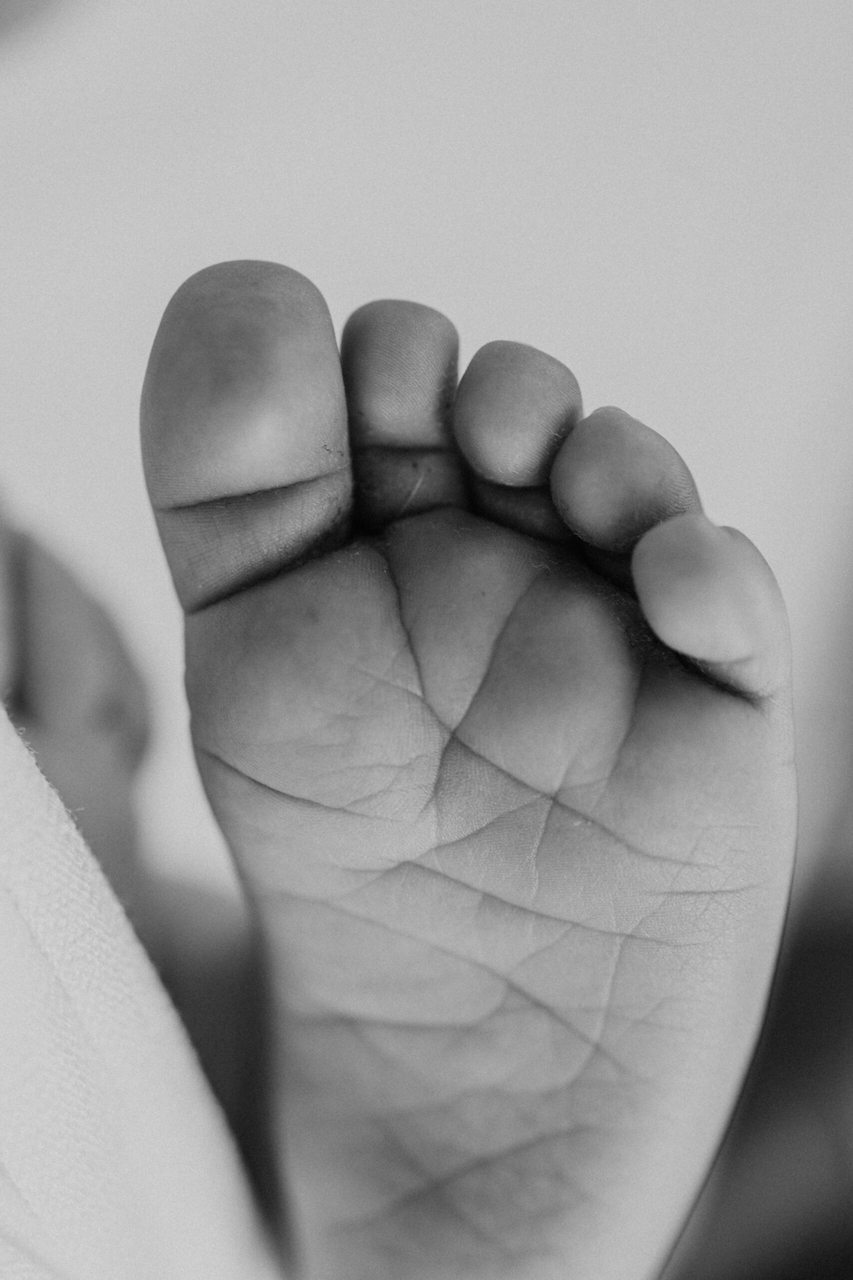 Detailaufnahme von Babyfuss beim Natürlichen Neugeborenen Fotoshooting im Kanton Zürich